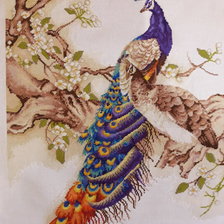 Работа «павлины»