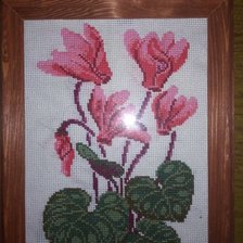 Работа «№77963»