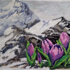 Работа «Альпийские цветы»