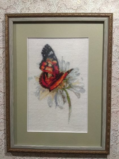 Работа «Бабочка на ромашке.»