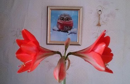 Работа «Сова "Зима"»