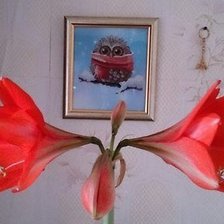 Работа «Сова "Зима"»