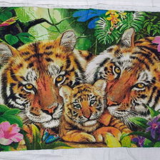 Работа «Тигры 400*300»
