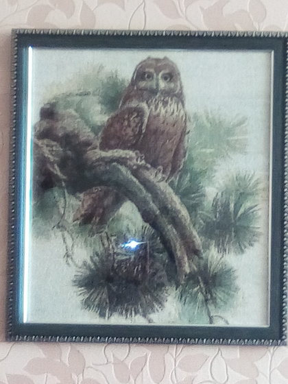 Работа «Совушка»