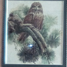 Работа «Совушка»