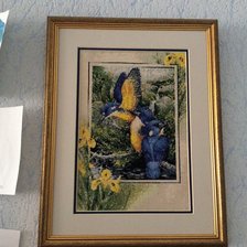 Работа «Лазурный кинфишер»