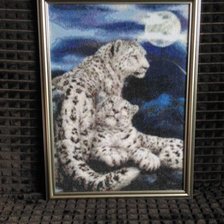 Работа «Снежные барсы»