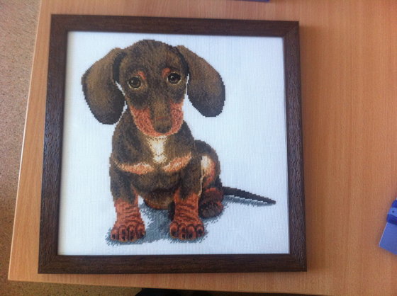 Работа «Таксик»