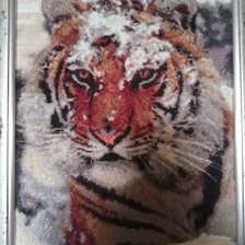 Работа «№78294»