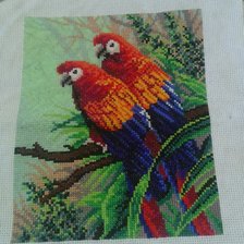 Работа «Попугашки»