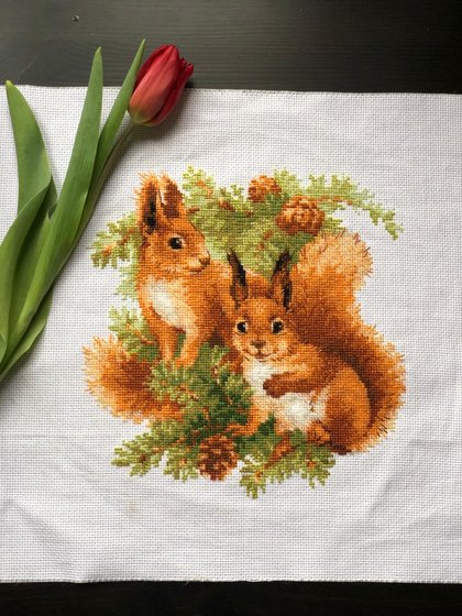 Работа «Белочки от Риолис»