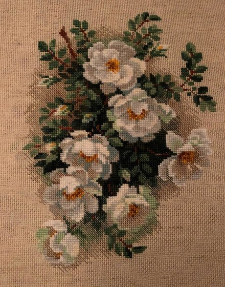 Работа «Белый шиповник от Риолис»