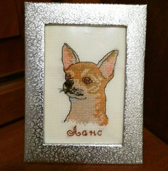 Работа «Лансик (январь 2019)»