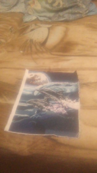 Работа «дельфины»