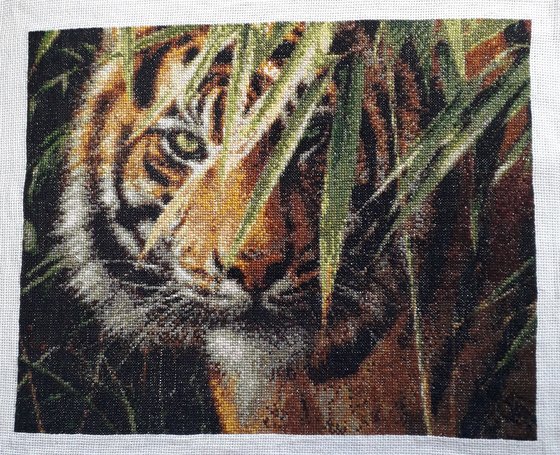 Работа «Ожидающий тигр.»