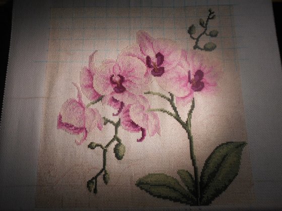 Работа «Орхидея»