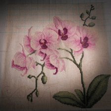 Работа «Орхидея»