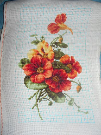 Работа «Настурции»