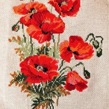 Работа «Риолис. Маки.»