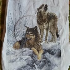 Работа «Пара волков»