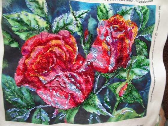 Работа «Розы  в лунном свете»