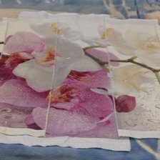 Работа «полиптих орхидея.»