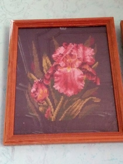 Работа «Ирис»