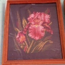 Работа «Ирис»