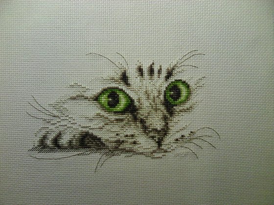 Работа «Взгляд КОТА»