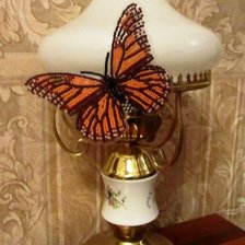 Работа «Бабочка "Данаида Монарх"»