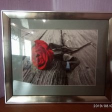 Работа «Золотое руно "Романс"»