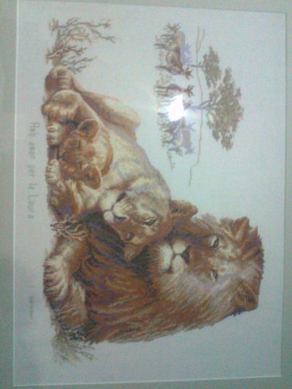 Работа «Família de leones. Perdonen las fotos que torcidas.»