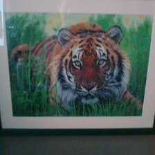Работа «Tigre en la hierba.»