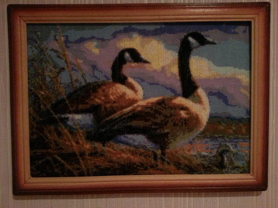 Работа «№79041»