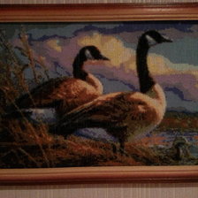 Работа «№79041»