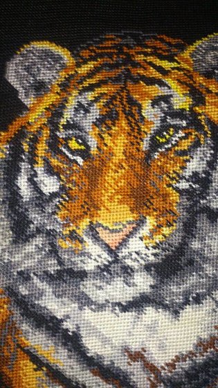 Работа «№79230»