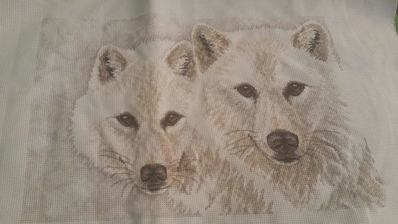 Работа «№79246»