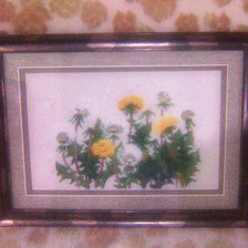 Работа «№79317»