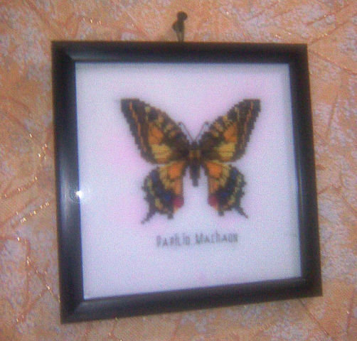 Работа «№79318»