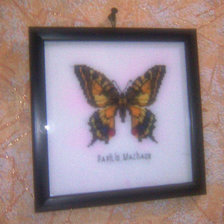 Работа «№79318»