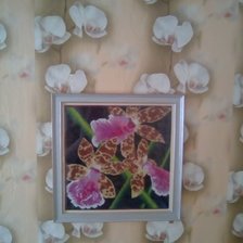 Работа «орхидея "цимбидиум"»