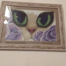 Работа «№79436»