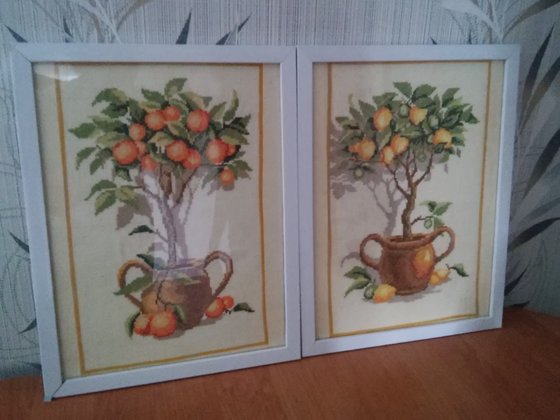 Работа «цитрусы»