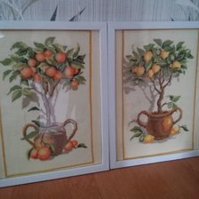 Работа «цитрусы»