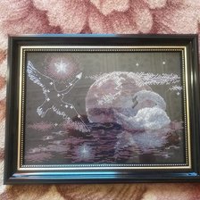 Работа «№79480»