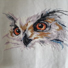 Работа «Сова»