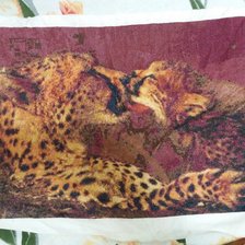 Работа «№79843»