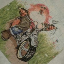 Работа «Котоциклист»