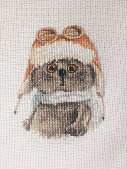 Работа «Басик лётчик»