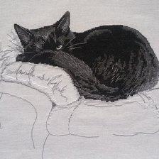 Работа «Черный кот»